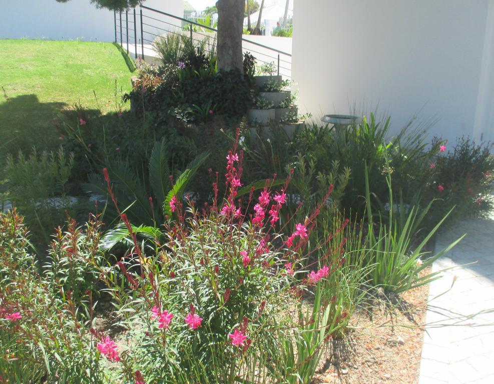 Westhill Luxury Guest House Knysna Eksteriør bilde