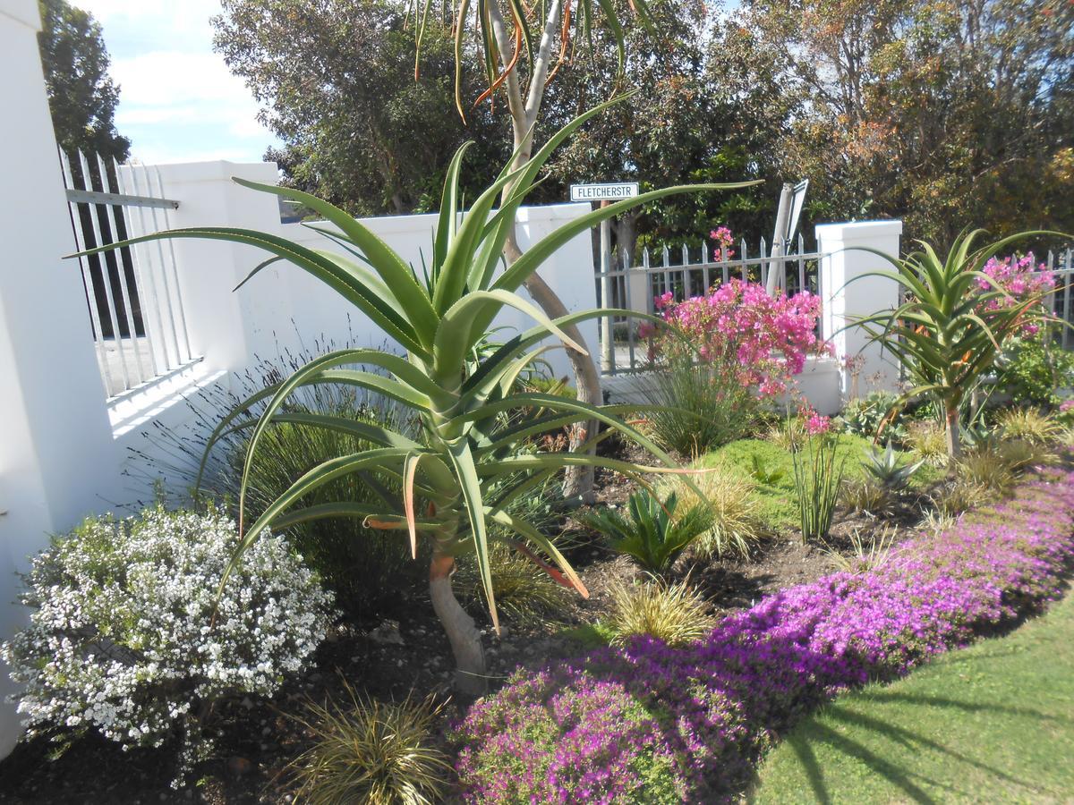 Westhill Luxury Guest House Knysna Eksteriør bilde